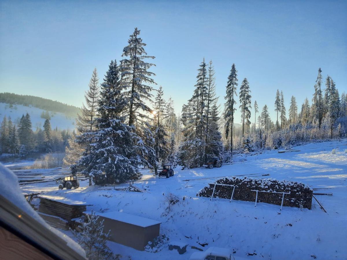 Homestay Nad Potokiem Witow (Tatra)
